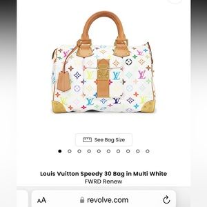 Louis Vuitton speedy 30 bag in multi white